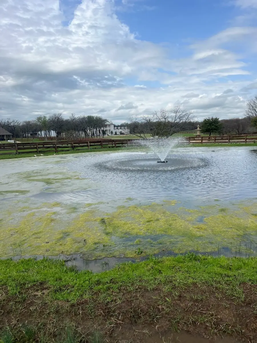 Aquatic weed program, 2024, before